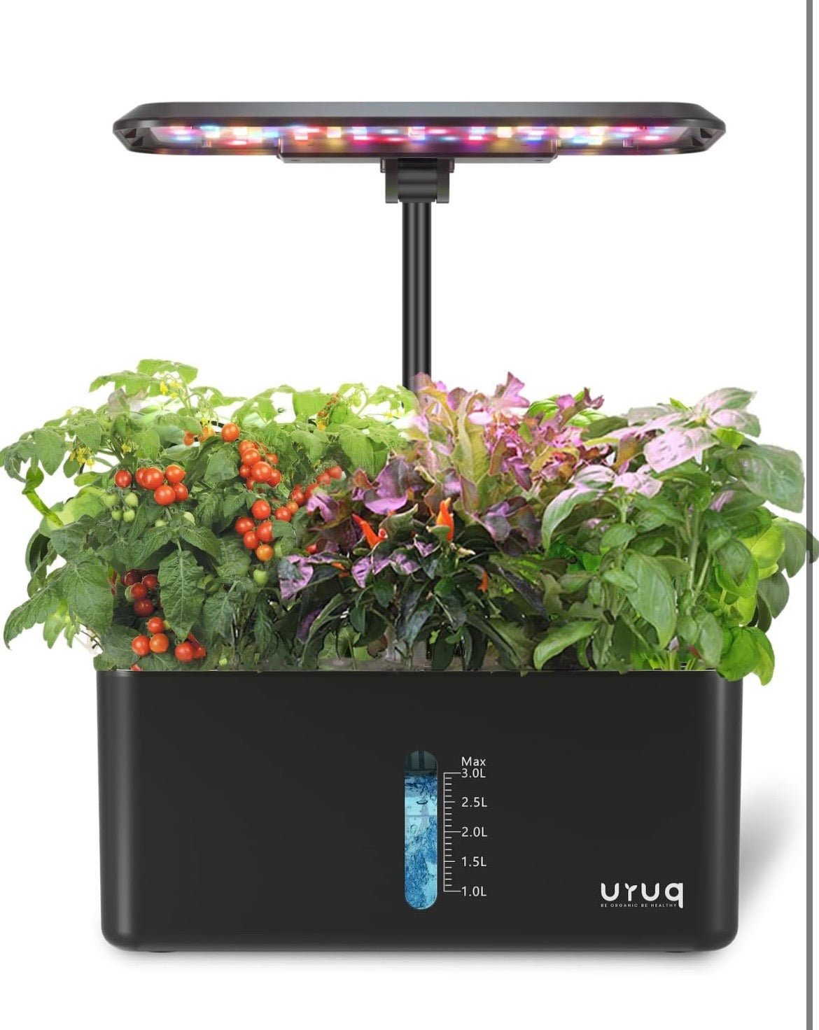 Black Uyuq indoor garden with plants and a LED light on a white background
