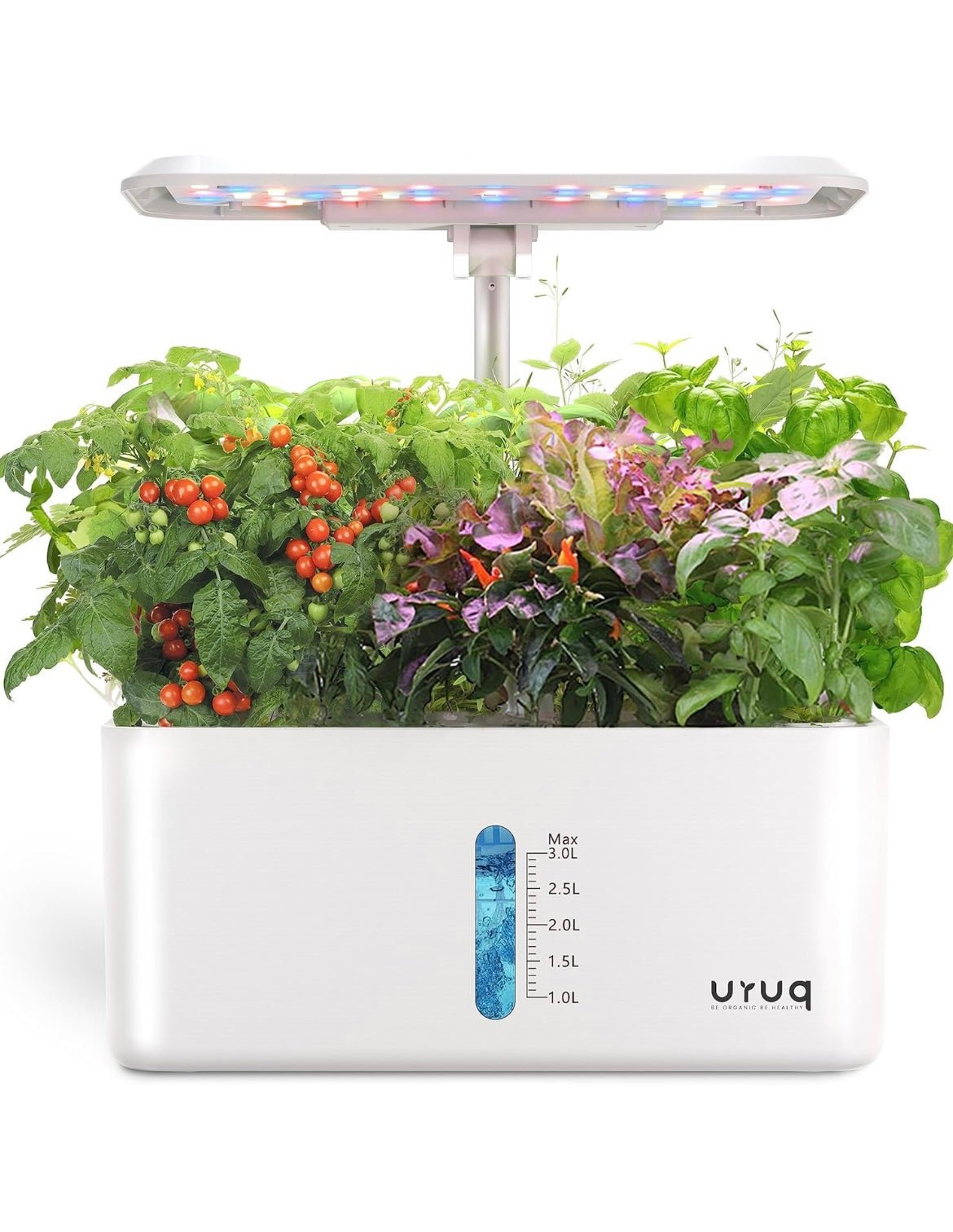 Ulyq smart indoor garden with plants and LED lights on a white background