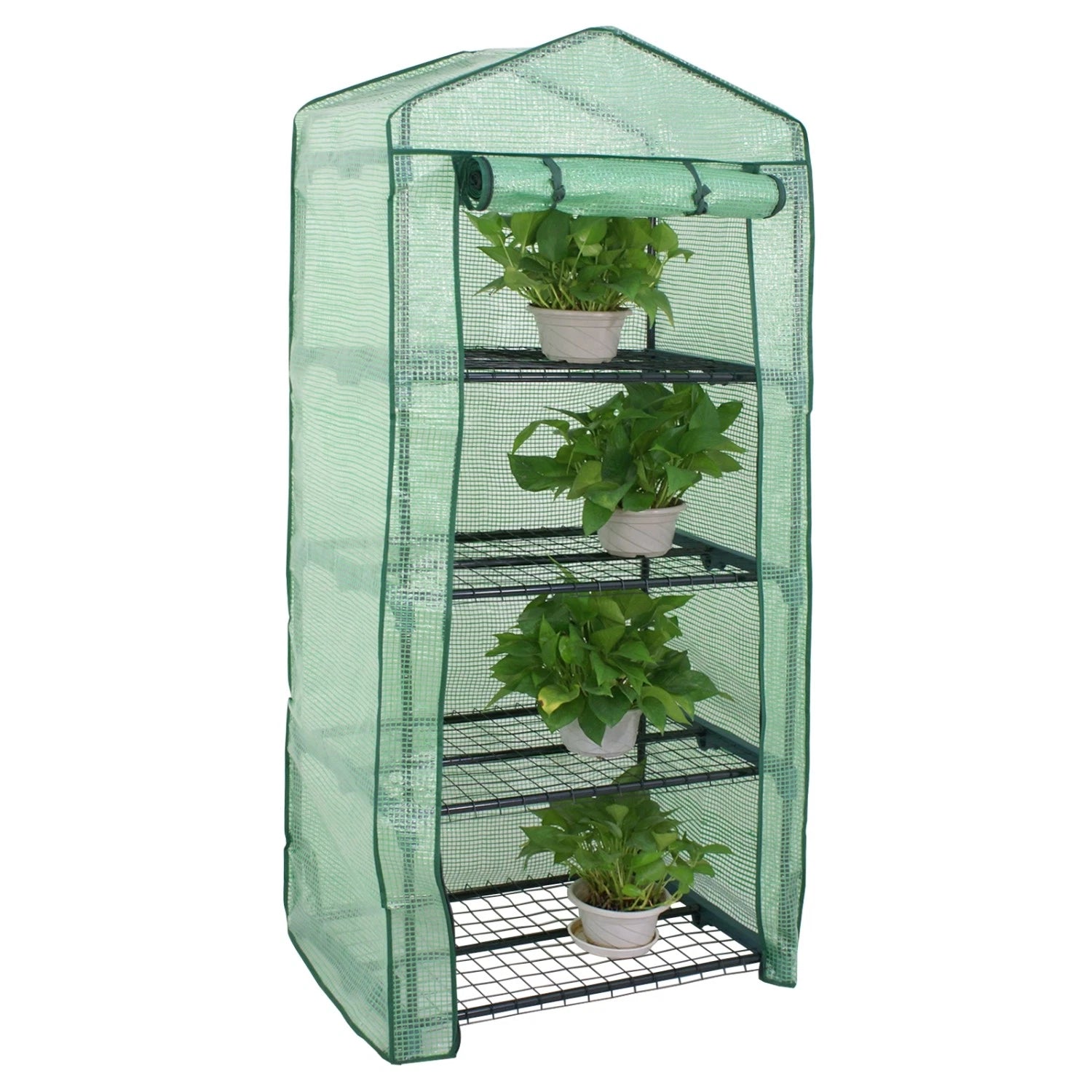 Green 4 tier mini greenhouse with plants on a white background