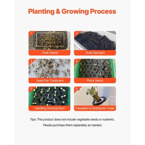 Step-by-step guide to planting and growing process with images and text labels.