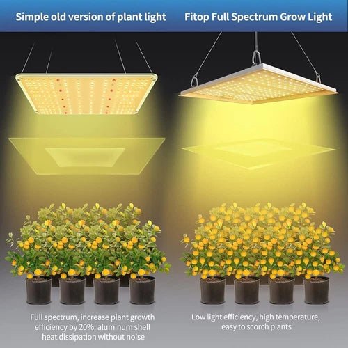 Comparison of a simple old version of plant light and Fitop Full Spectrum Grow Light with plants below.