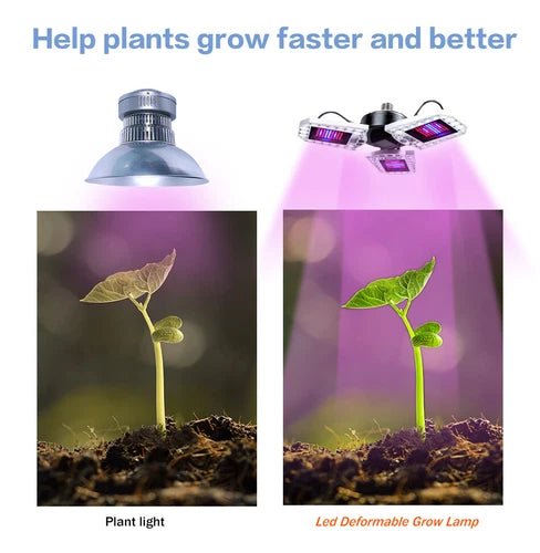 Comparison of plant growth under a traditional light bulb and a LED deformable grow lamp.